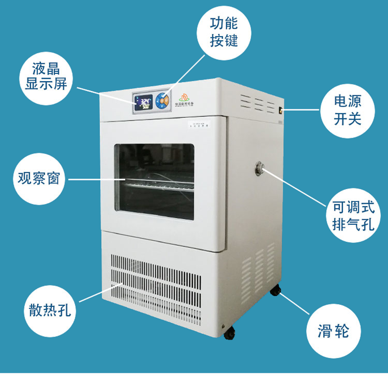 电热恒温培养箱