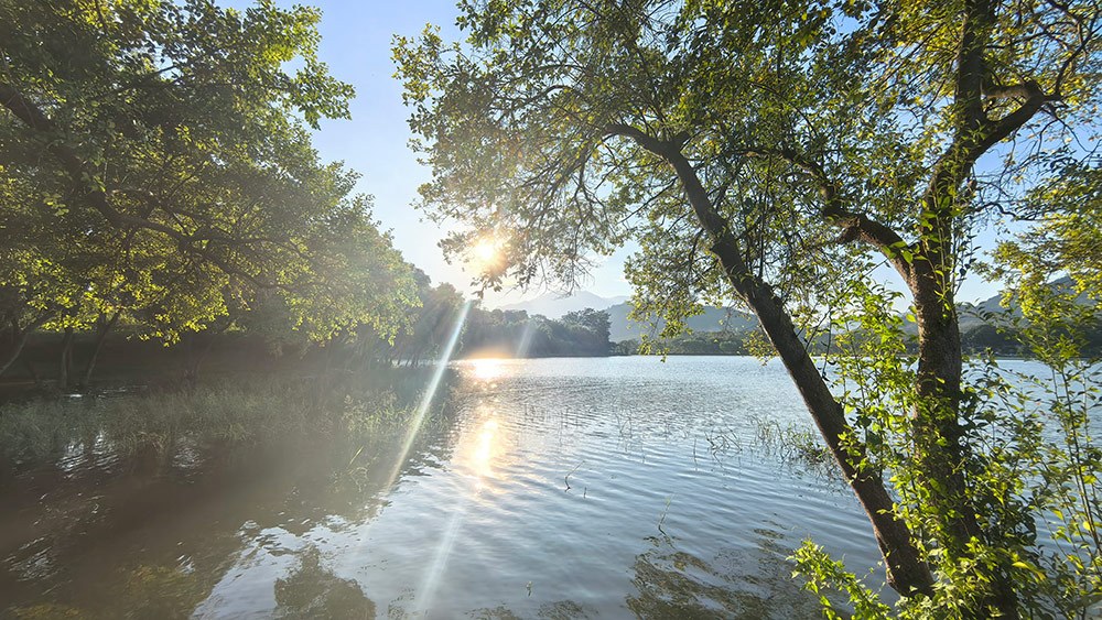 微信图片_20251027101330_623_167(压缩）